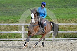 Schooling a thoroughbred horse uk photo