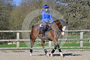 Schooling a thoroughbred horse uk