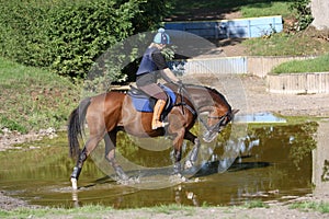 Schooling a thoroughbred horse uk