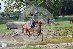 Schooling a thoroughbred horse uk