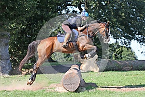 Schooling a thoroughbred horse uk