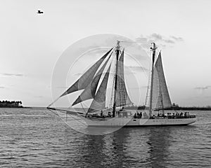 Schooner in black and white