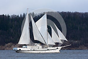 Schooner goes past the forest shore