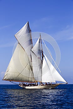 Schooner Sailing Sailboat