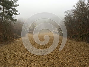 Schoorl sand dune on a foggy day