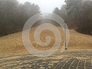 Schoorl sand dune on a foggy day