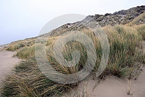 The Schoorlse Duinen are a dune area located west of Schoorl in North Holland. They are the highest 55.4 meters and widest 5 ki