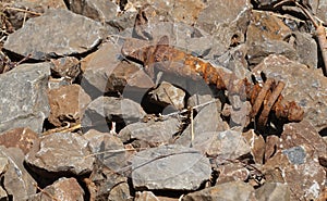 Schraube photo