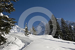 Schreckhorn in winter