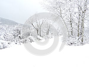 Schug Trail from Dryden to Dryden Lake train track trail during winter snowstorm in snowfog