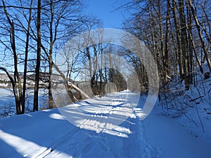 Schug Trail a rail trail by Dryden Lake in the winter snow