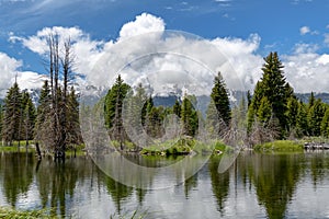 Schwabacher landing in early morning