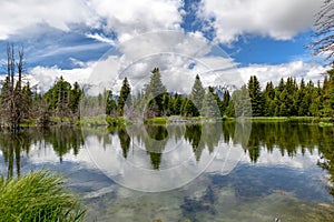 Schwabacher landing in early morning