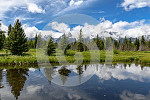 Schwabacher landing in early morning