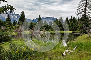 Schwabacher Landing in the Grand Tetons