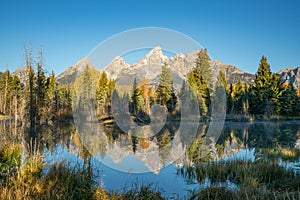 Schwabacher Landing Reflection