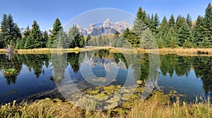 Schwabacher Landing Reflections