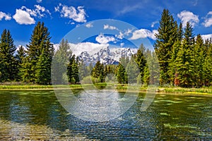 Schwabacher Landing with Snake River in Grand Teton National Park, Wyoming, USA