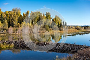 Schwabachers Landing