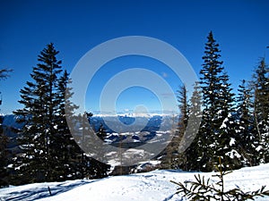 Schwaben Alps winter panorama (with trees)