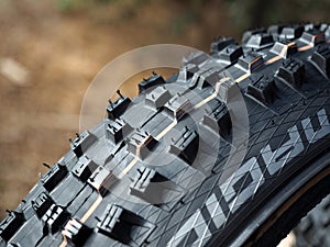 Schwalbe Magic Mary Evolution ADDIX