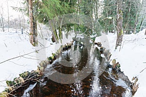 The Schwarzach Creek in Spiegelau in the bavarian forest, Germany