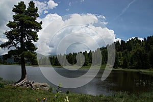 Schwarzsee, KÃ¤rnten, Ã–sterreich