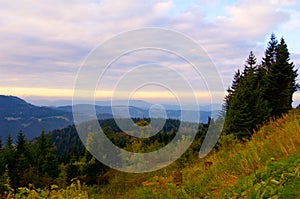 Schwarzwald Forest in Germany