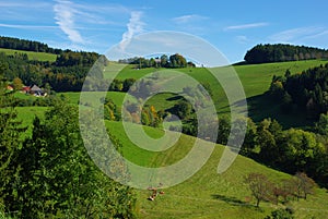 Schwarzwald Panorama View Road photo