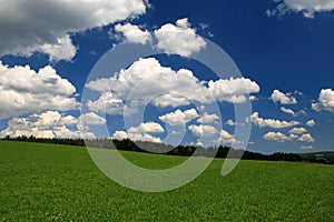 Schwarzwaldwanderung unter blauem Himmel photo