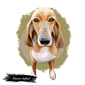 Schweizer laufhund dog animal breed with long ears German puppy digital art illustration. Pet of German origin doggy