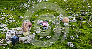 Schynige Platte, Switzerland.