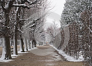 SchÃÂ¶nbrunn Palace Garden in Winter with snow photo