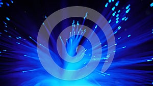 Sci-fi colorful grass selective focus