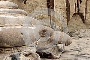 Sci-fi other worldly dystopian background of folds of rounded cement concrete with sandstone wall dead ice plant growing in backgr