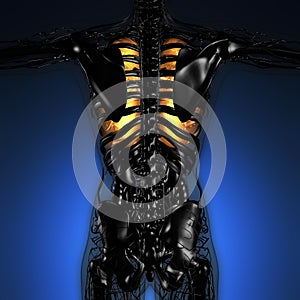 Science anatomy of woman body with glow lungs photo