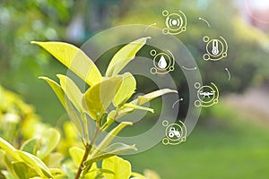 science biology connections concept on a circle web exemplifies the importance of balancing technology with environmental photo