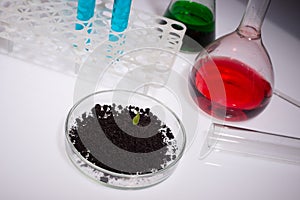 Science, biology, ecology, research and people concept - close up of scientist hands holding petri dish with plant and