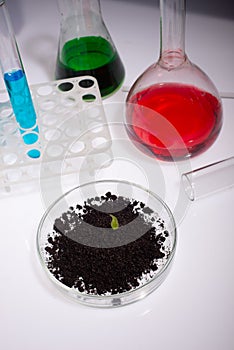 Science, biology, ecology, research and people concept - close up of scientist hands holding petri dish with plant and