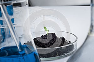 Science, biology, ecology, research and people concept - close up of scientist hands holding petri dish with plant and soil sample