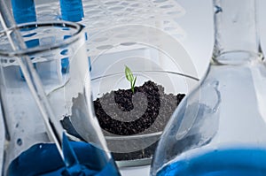 Science, biology, ecology, research and people concept - close up of scientist hands holding petri dish with plant and soil sample