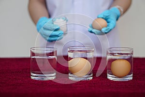 Science experiment about eggs.