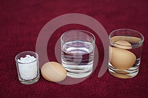 Science experiment about eggs in water