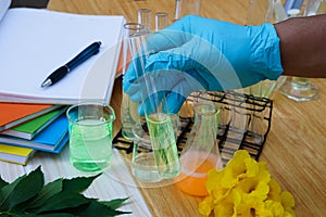 Science experiment, lab lesson, holds test tube. Concept, science subject, project work. Experiment, education