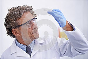 Science, laboratory and man with sample in petri dish for medical research, analysis and vaccine development. Healthcare
