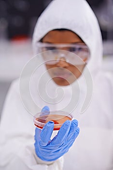 Science, laboratory and scientist with sample in petri dish for medical research, analysis and vaccine development