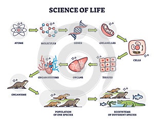 Science of life as nature physiology categories development outline diagram photo