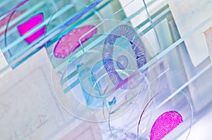 Science microscope slide