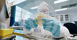 Science, ppe and person with petri dish in laboratory for research, medical study and virus by safety screen. Healthcare