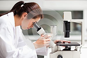 A science student looking in a microscope